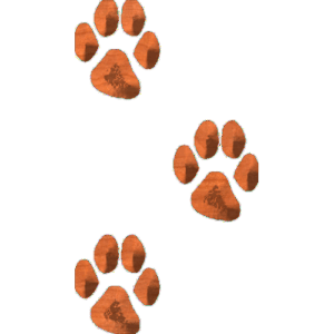CatTracks