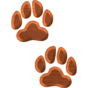 DogTrack