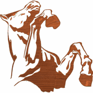 Horse Rearing 02