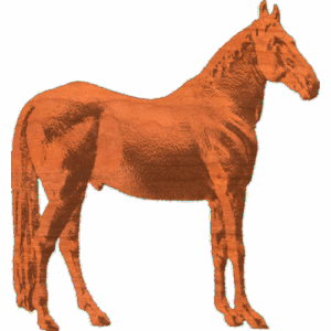 Horse - CL