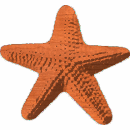Starfish 213