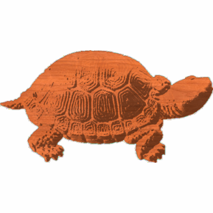 Turtle 413