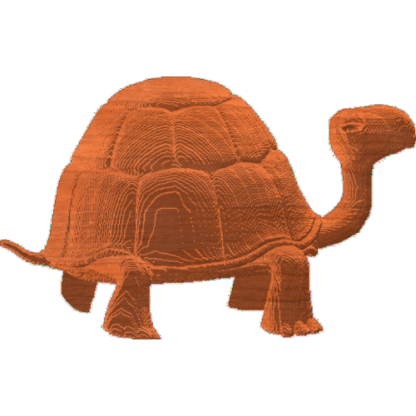 Turtle 01