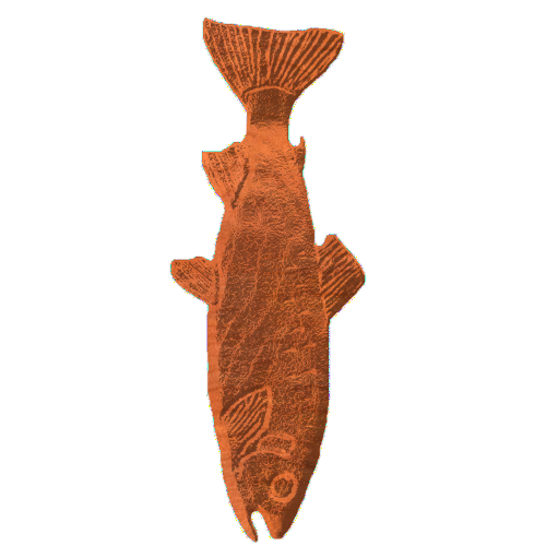 Flat Trout - KW