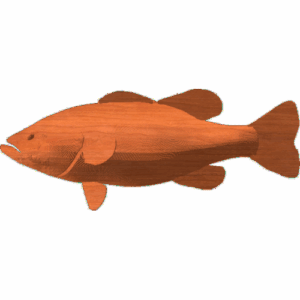 Black Bass