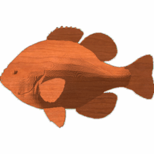 Blue Gill