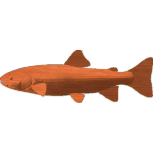 Trout Pattern