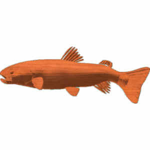 Trout Pattern - German Brown or Cutthroat