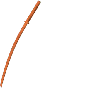 Martial Arts Sword
