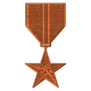 Medal Bronze Star