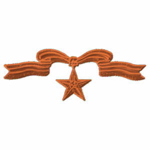 Medal Bronze Star with ribbon