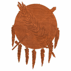 Shield 1