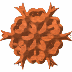 Snow Star