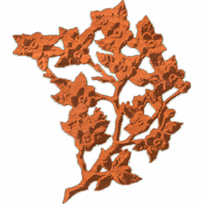 WildFlowerBranch