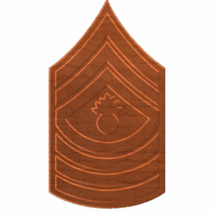 USMC MGYSGT