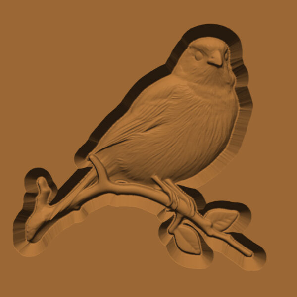 Bird on Branch