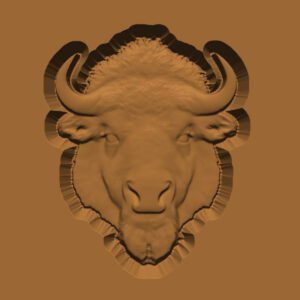 Buffalo Trophy Head