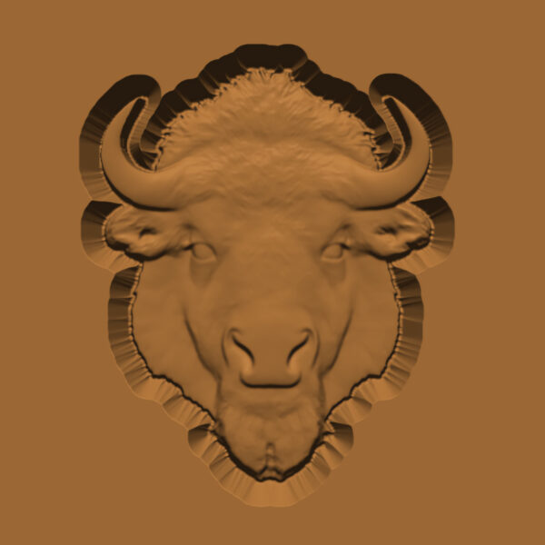 Buffalo Trophy Head