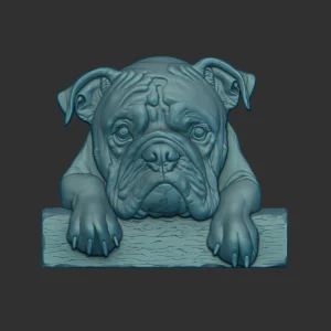 Bulldog