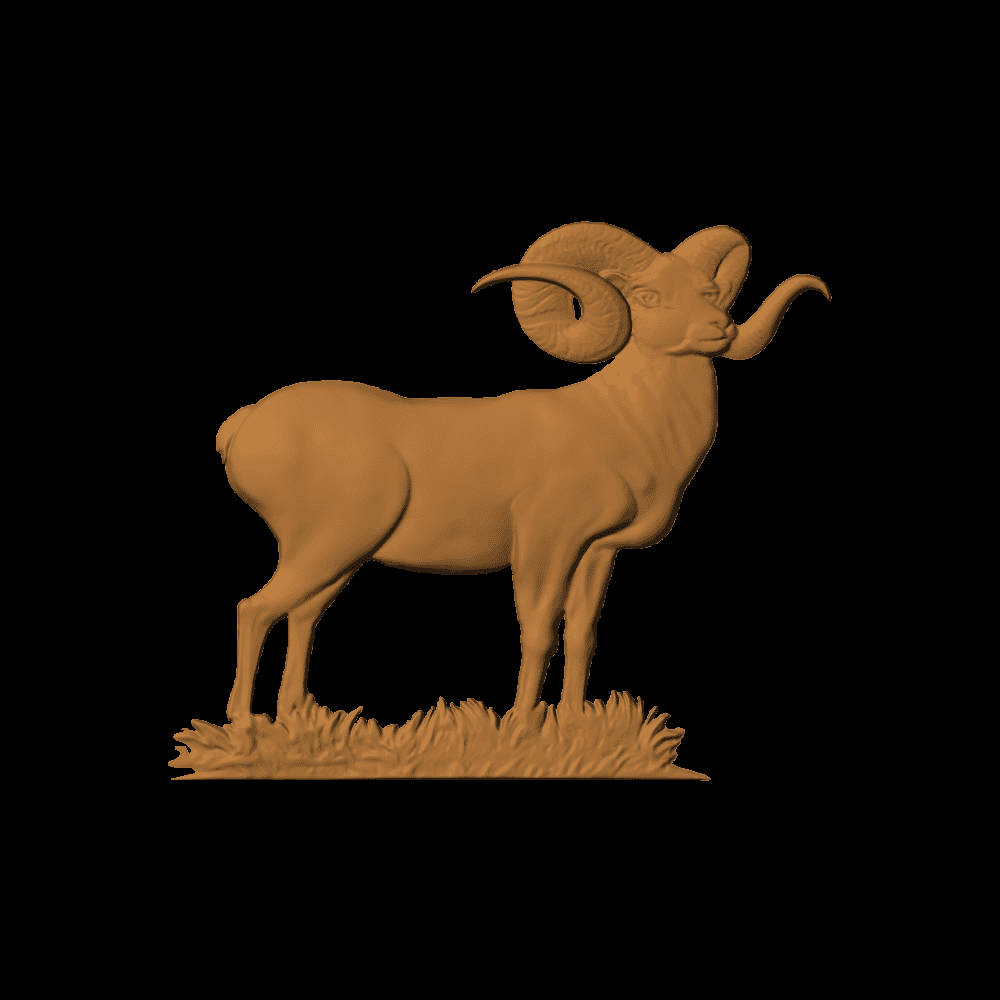 BIGHORNED SHEEP 02