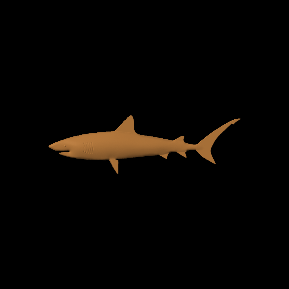 Fish-02