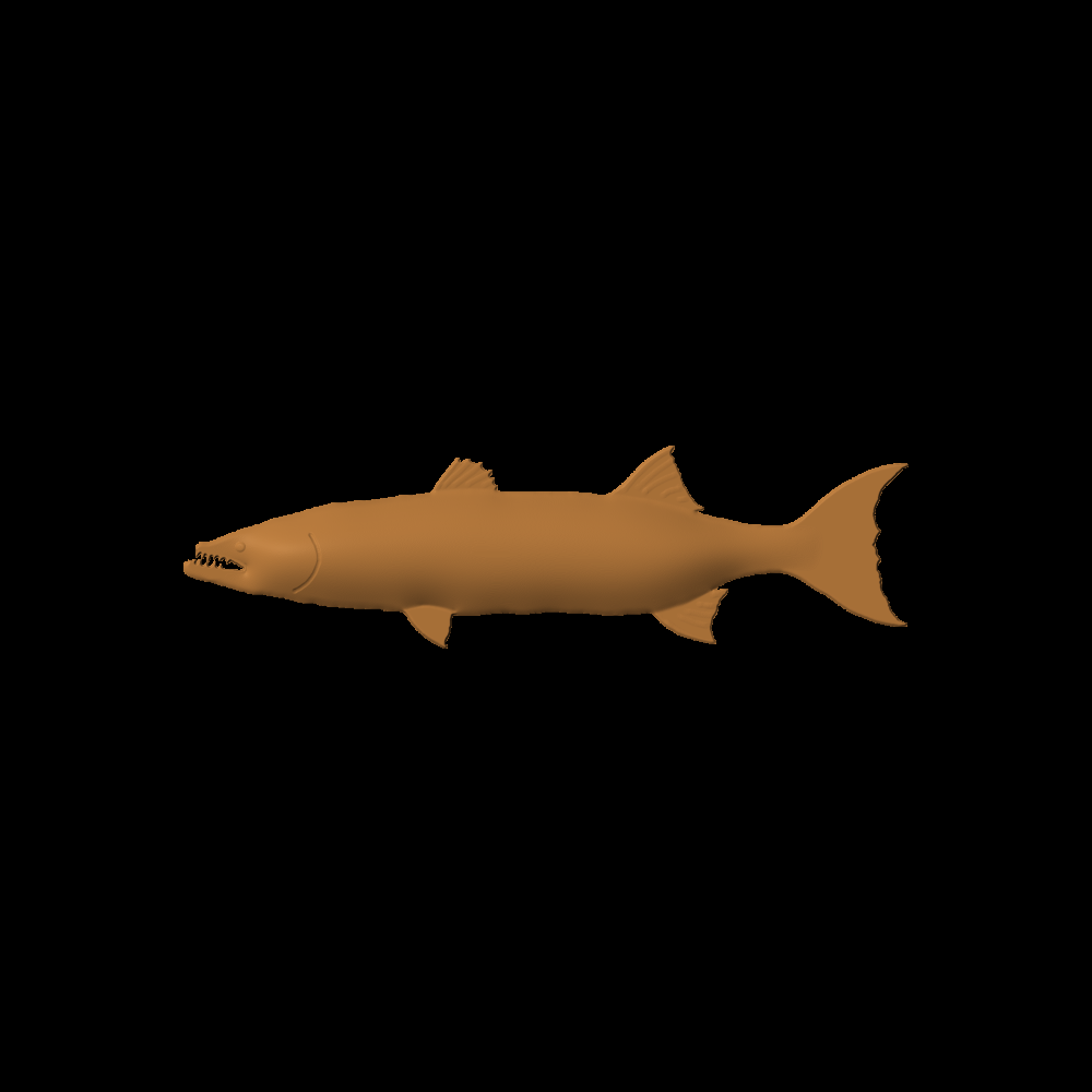 Fish-03