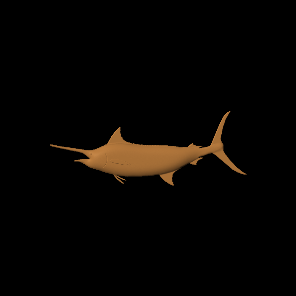Fish-04