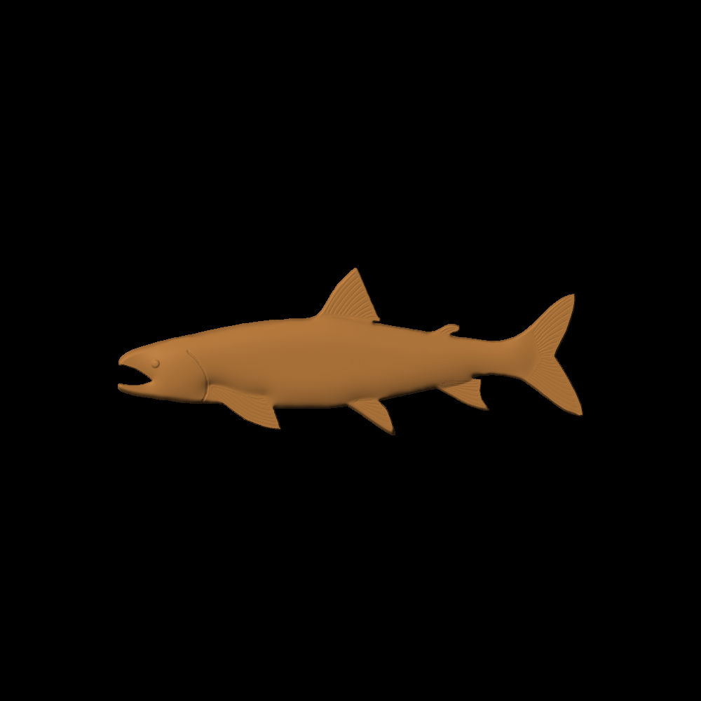 Fish-05