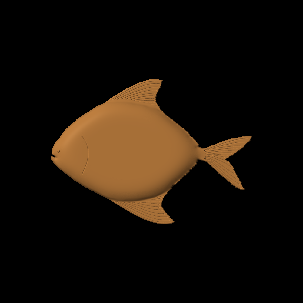 Fish-06