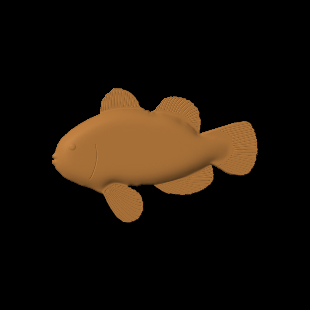 Fish-07