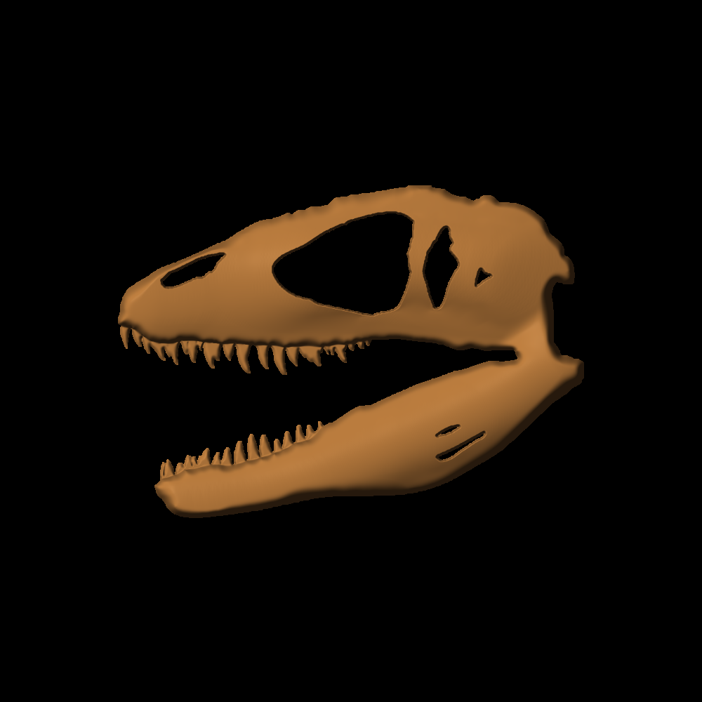 Raptor-03