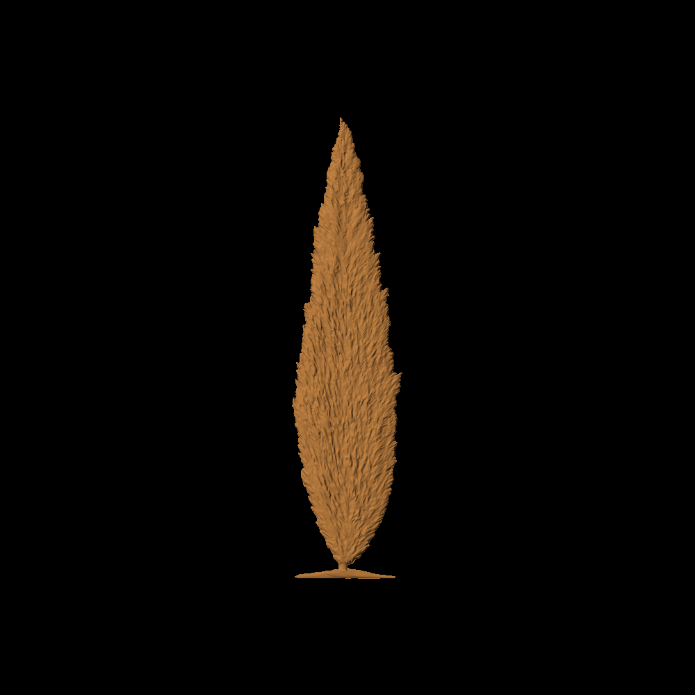 CYPRESS