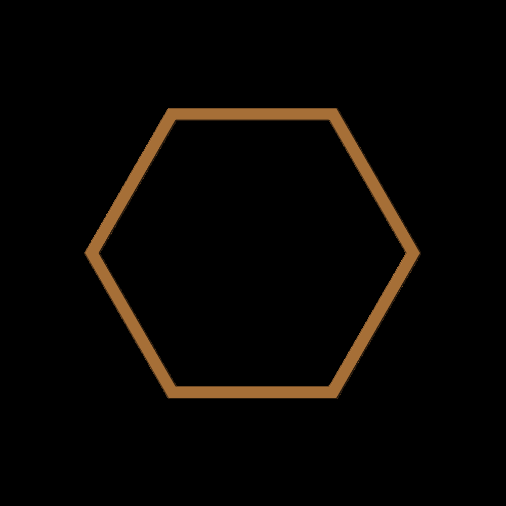 Polygon06