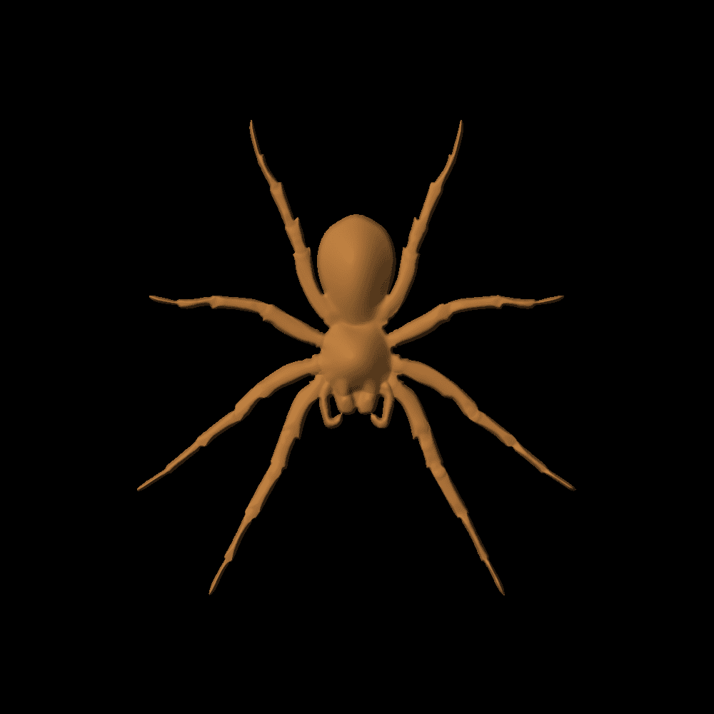 Spider-05