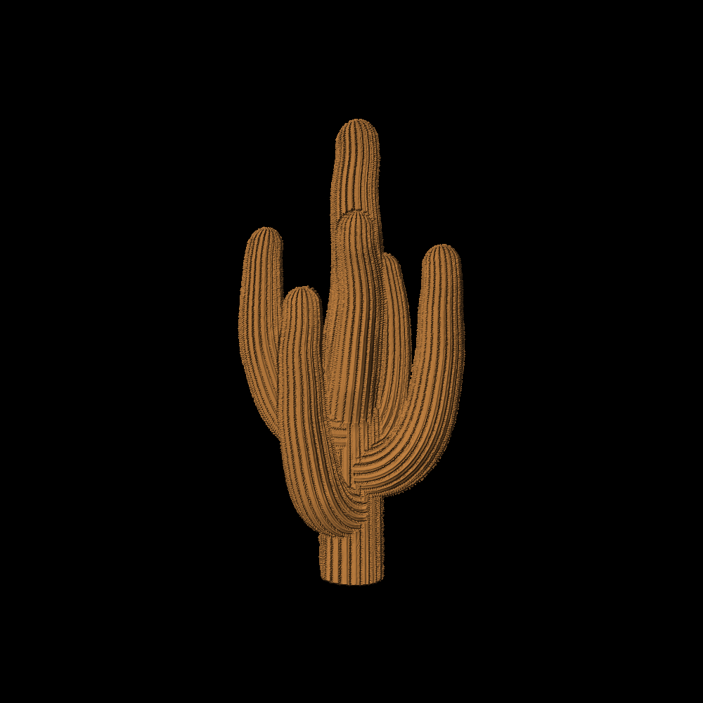 Cactus-02