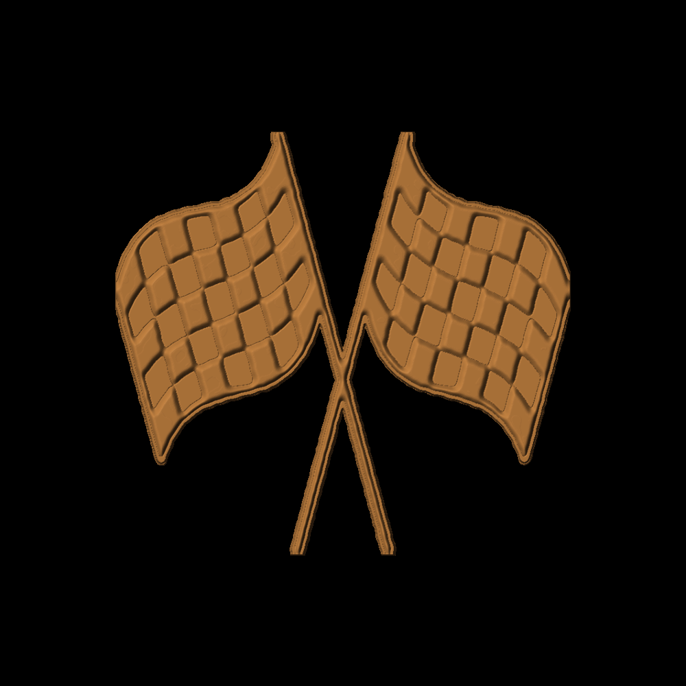 RaceFlag