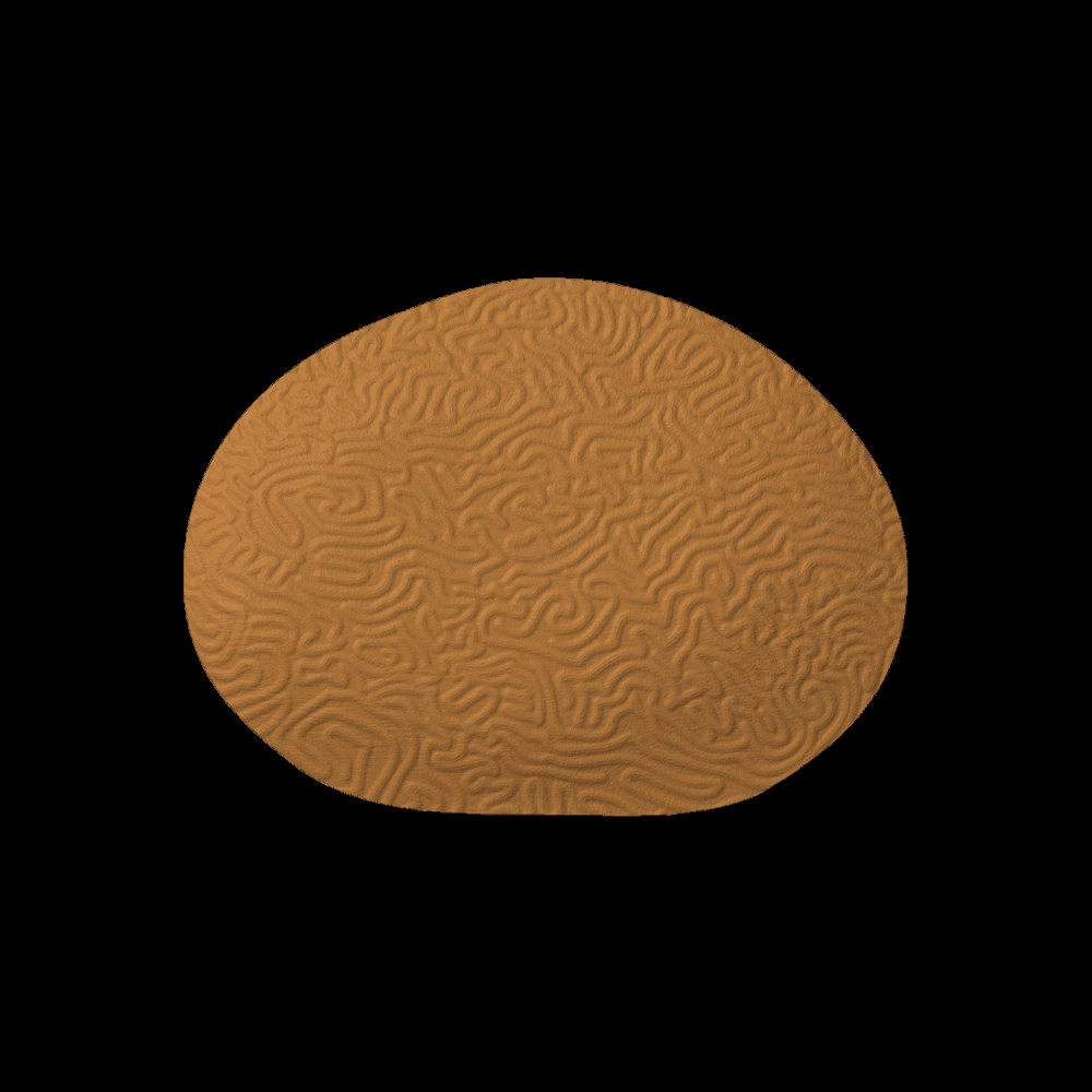 Brain Coral