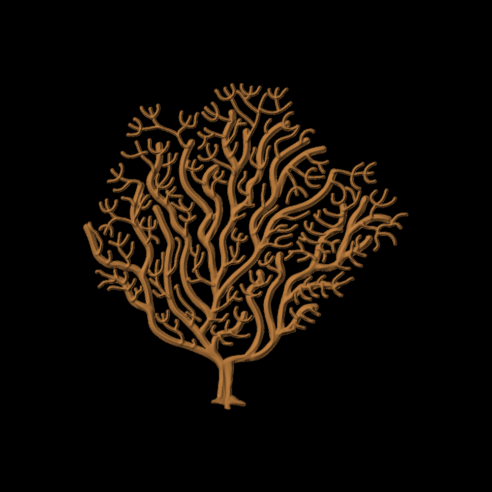 Lace Coral