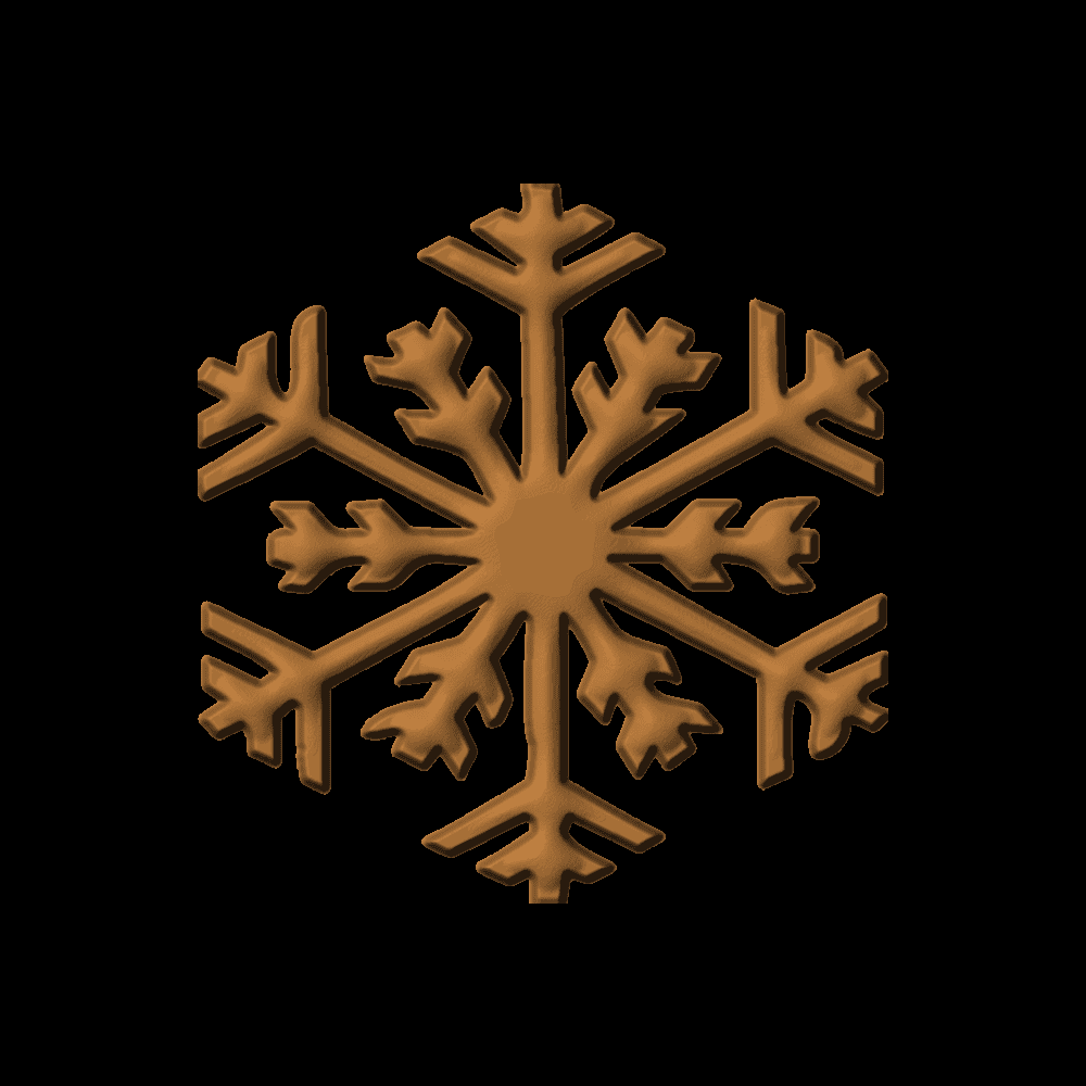 Snowflake 10