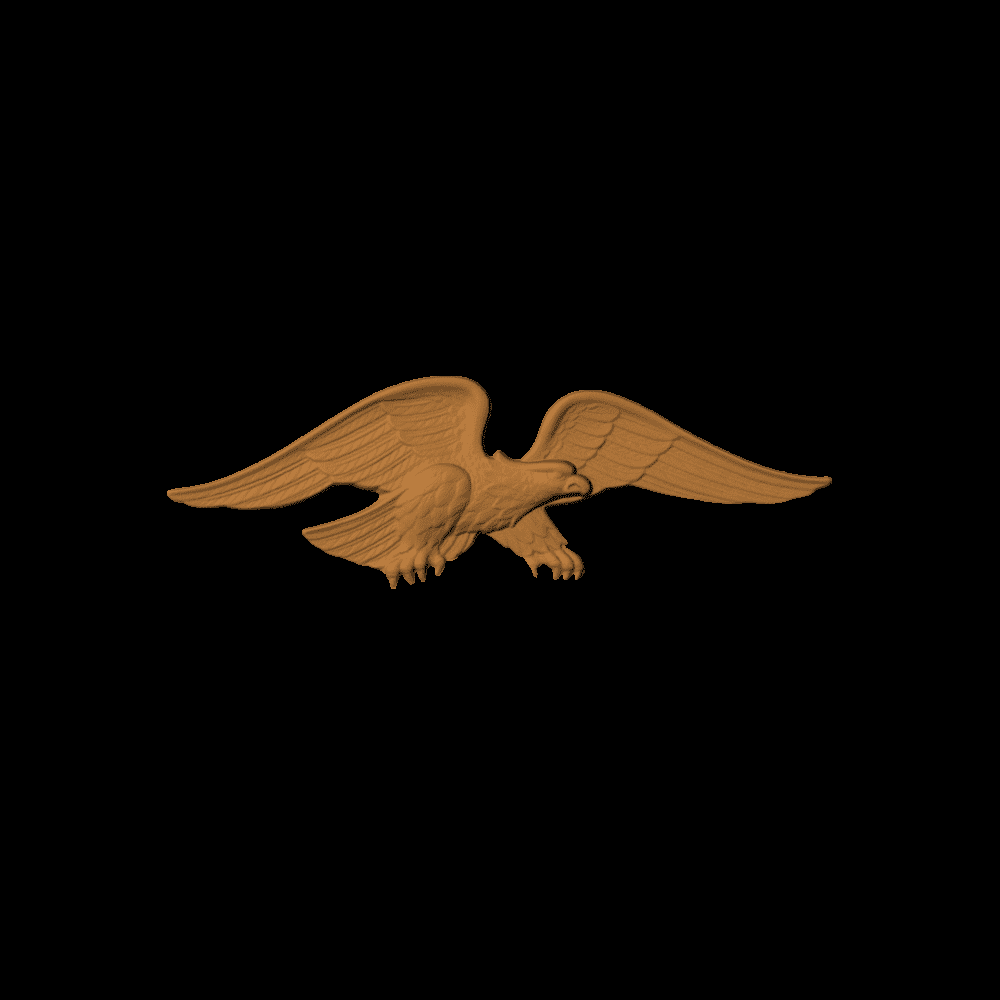 AMERICAN EAGLE