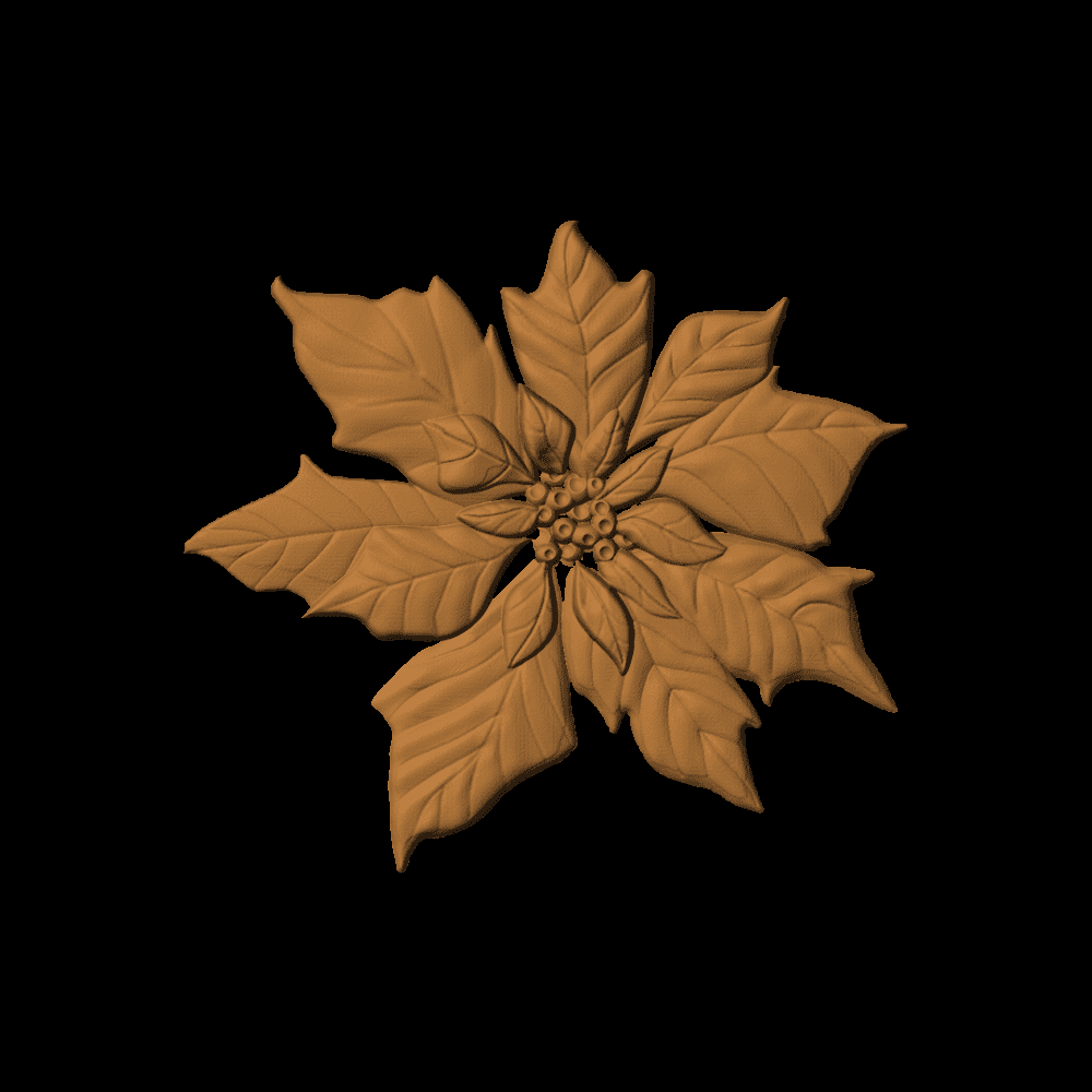 Poinsettia5x56 1