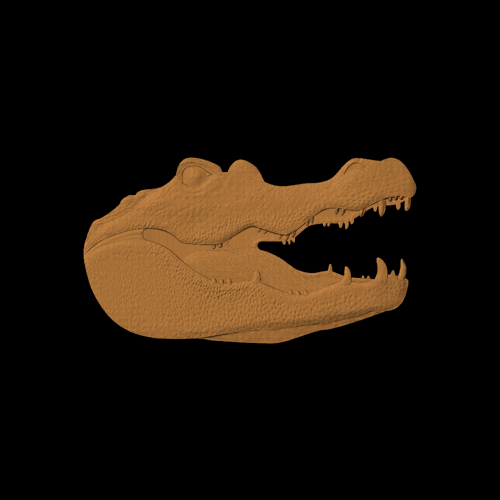 Gator Head
