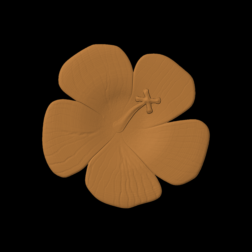 Abelmoschus Flower
