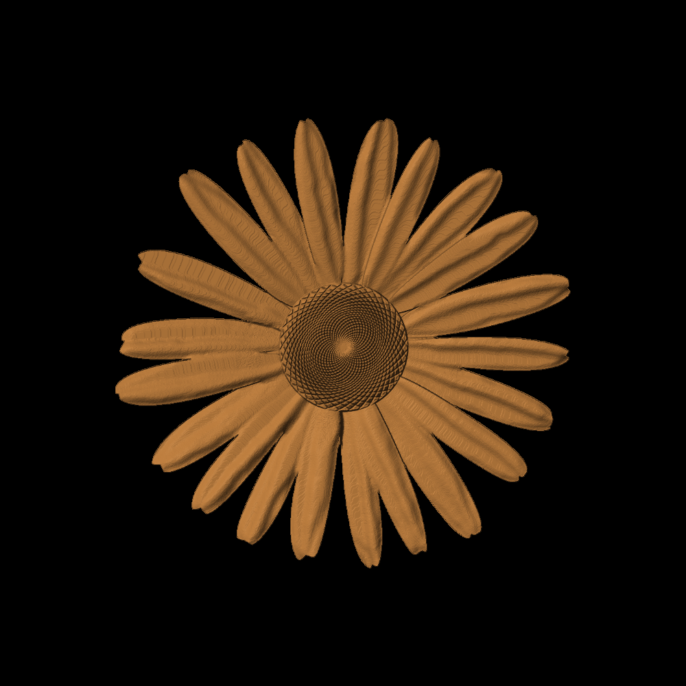 Flower-1_Daisy