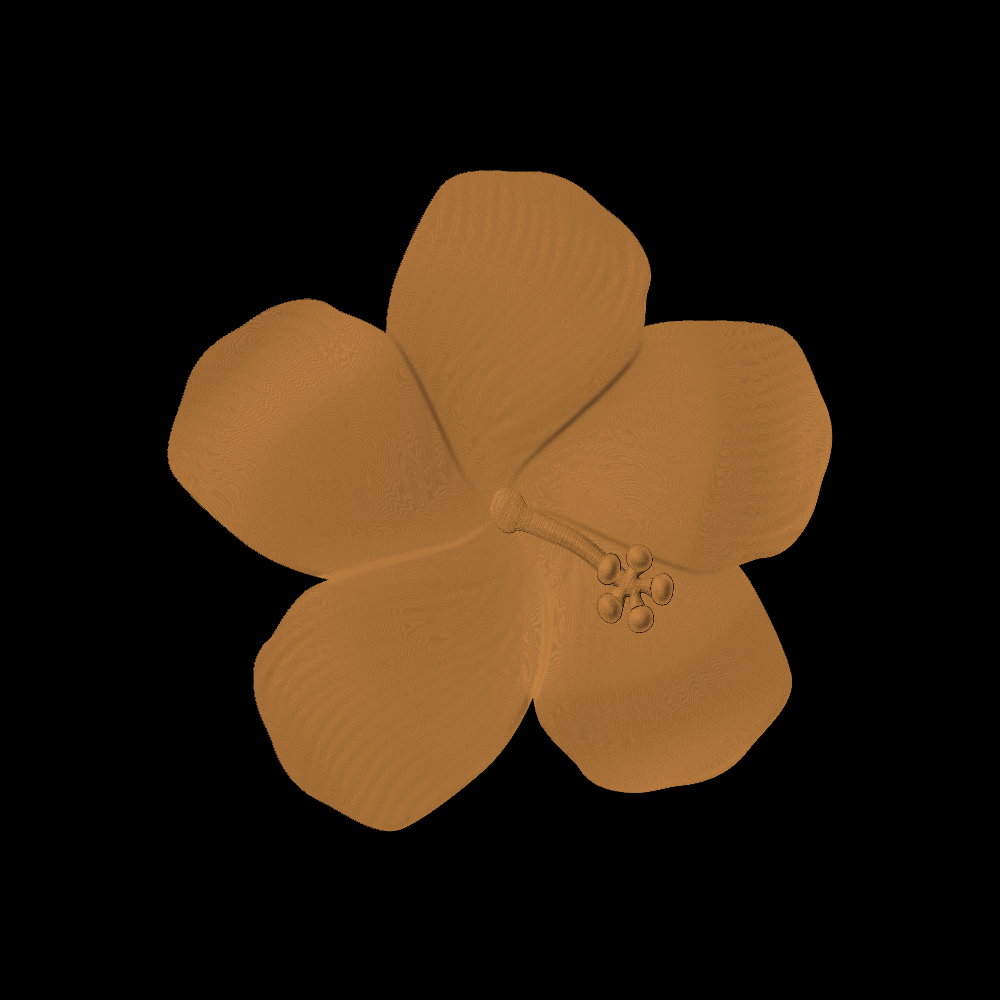 Hibiscus 1