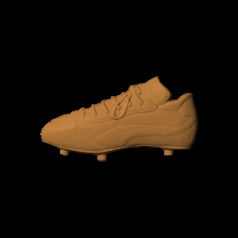 Soccer Shoe