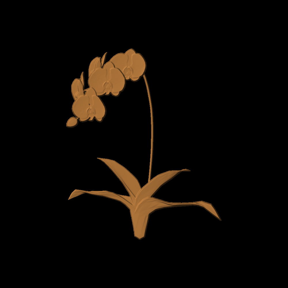 Flower 001