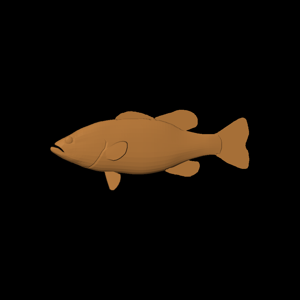 Black Bass
