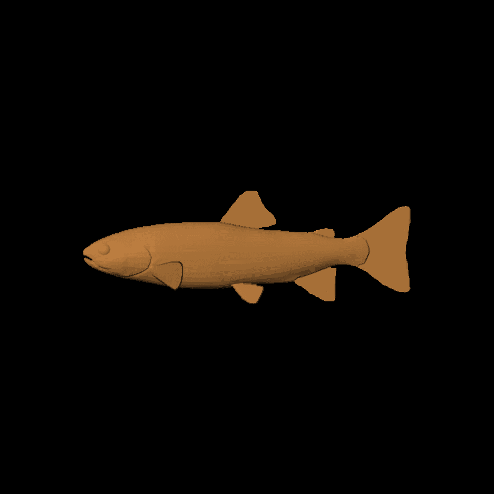 Trout Pattern