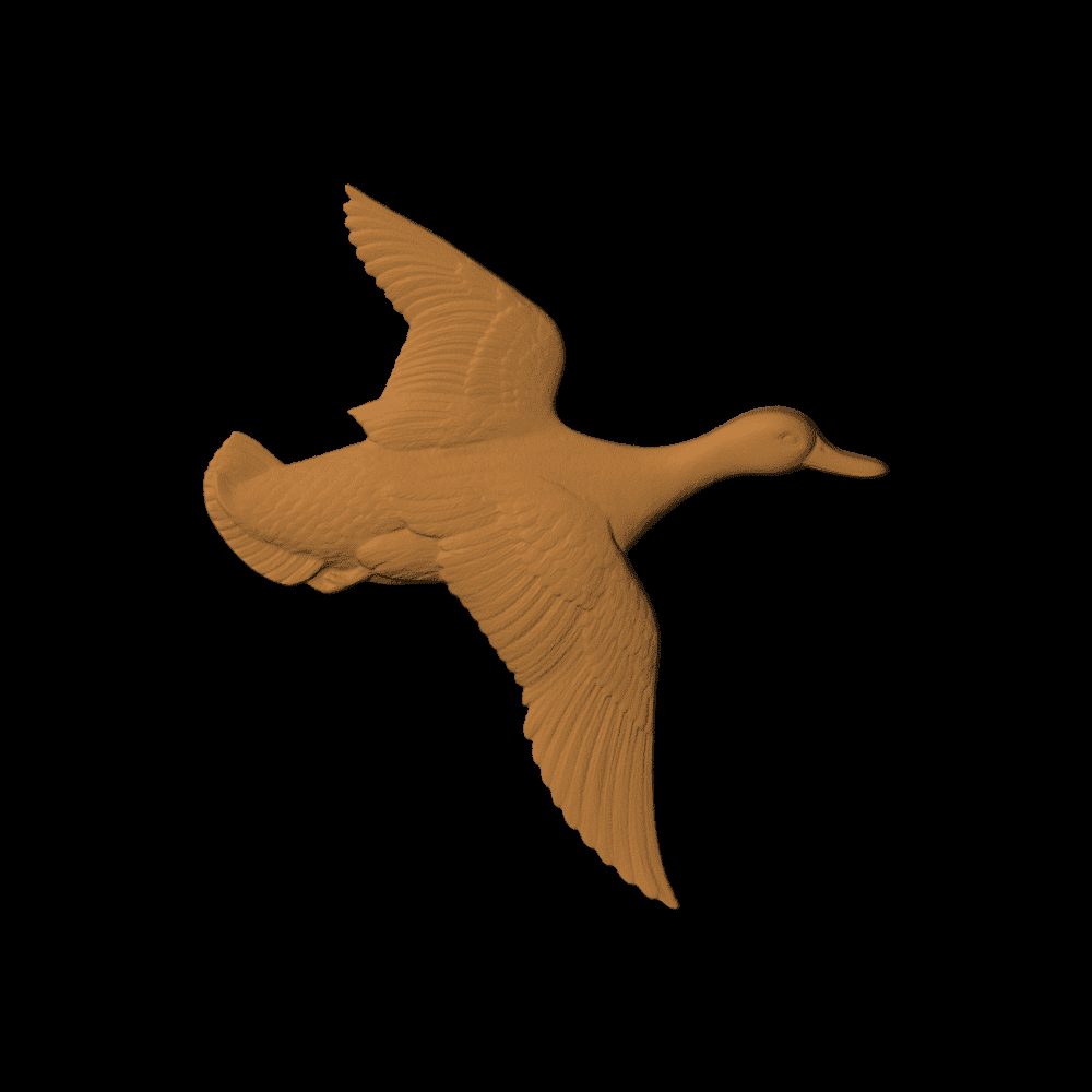 Duck Flying